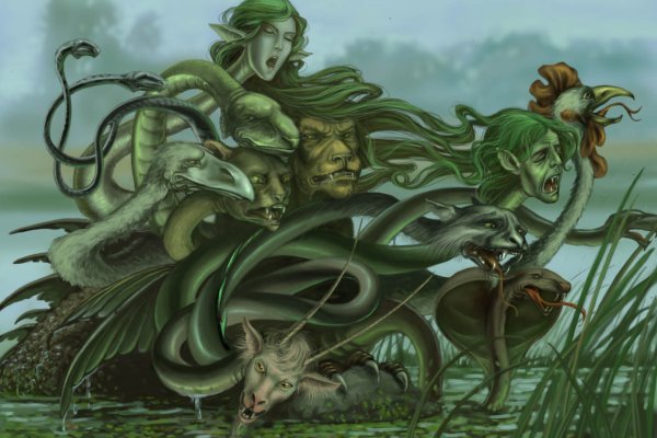 Пользователь не найден на кракене