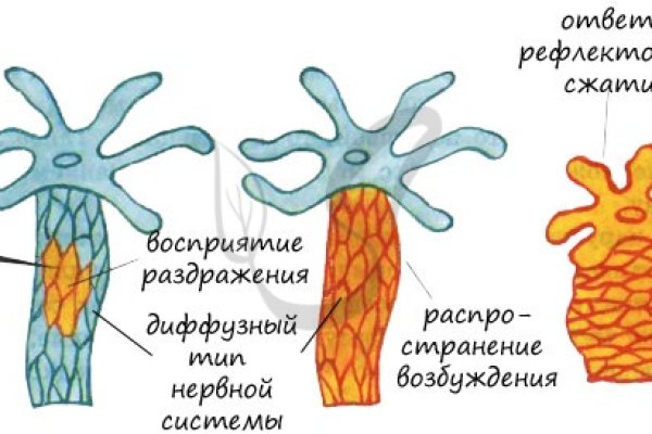 Зеркало kraken krakens16