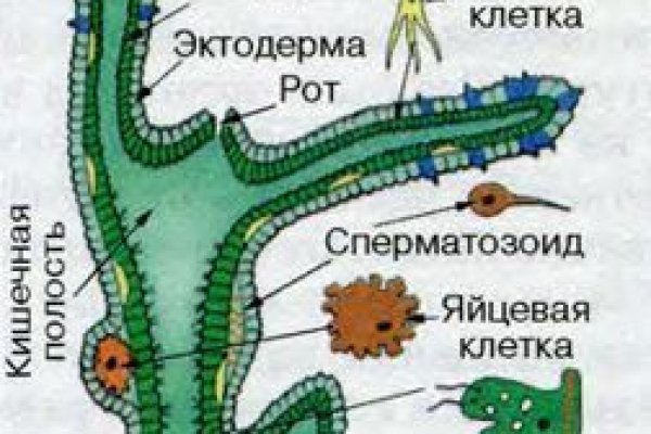 Kraken даркнет рынок