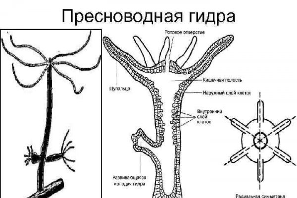 Восстановить аккаунт на кракене