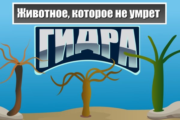 Кракен через обычный браузер